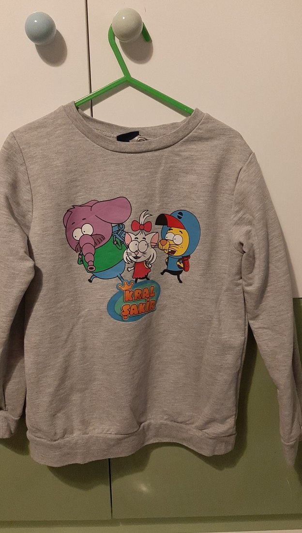 Gri Baskılı Uzun Kollu Erkek çocuk sweat - Görsel 3