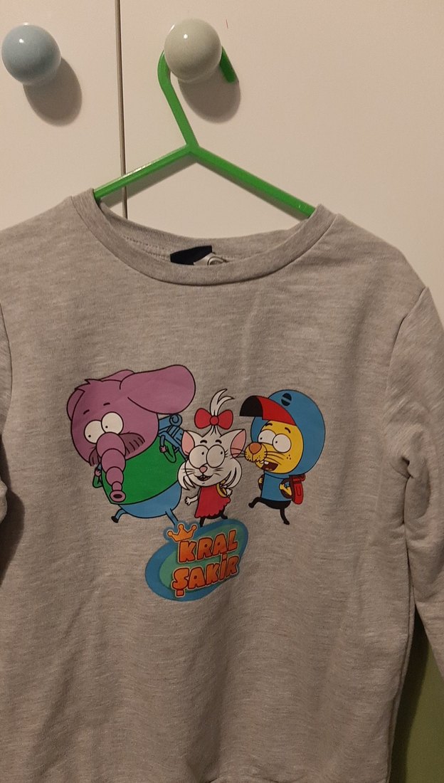 Gri Baskılı Uzun Kollu Erkek çocuk sweat - Görsel 5