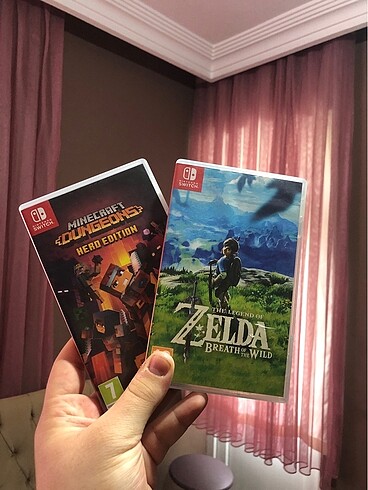 Zelda Breath of the Wild ve Minecraft Dungeon
