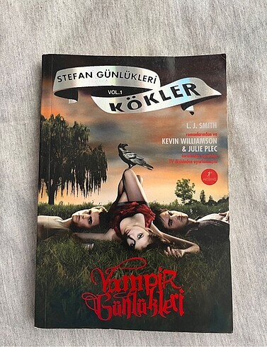 The vampire diaries kitap