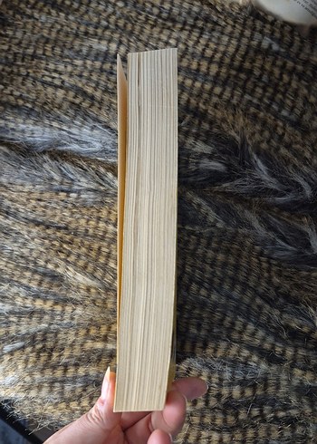 Zeka'dan Deha'ya - Ahmet Maraşlı - Görsel 2