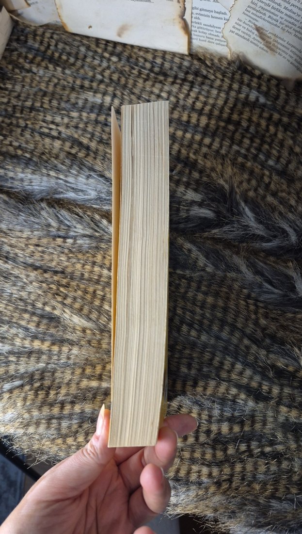 Zeka'dan Deha'ya - Ahmet Maraşlı - Görsel 2