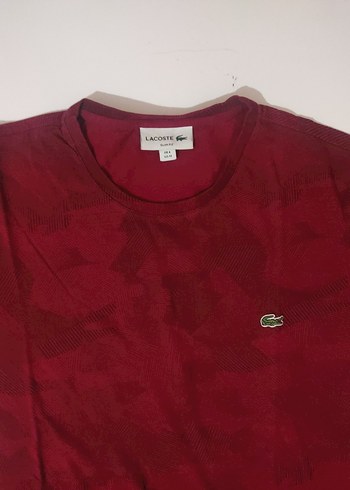 Lacoste bordo erkek tişörtü - Görsel 4