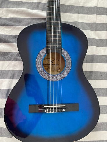 Çantalı 4000tllik gitar