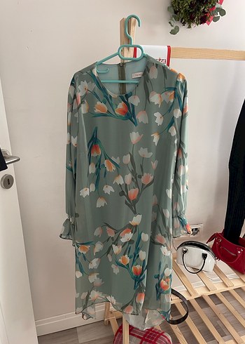 zara 44