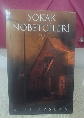 Sokak Nöbetçileri IV - Aslı Arslan