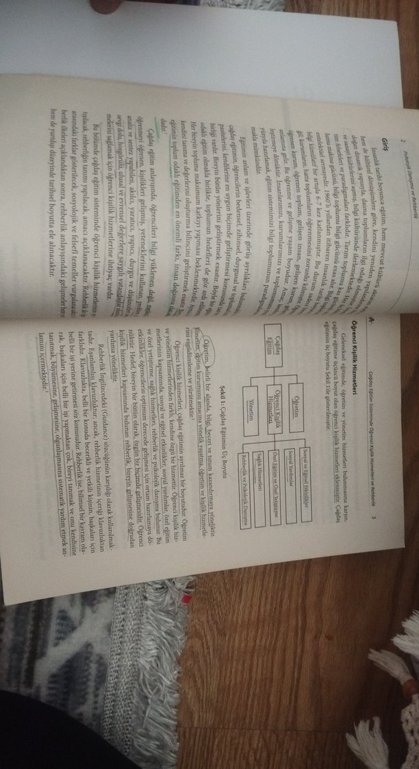 Psikolojik Danışma ve Rehberlik Kitabı - Görsel 3