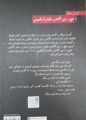 Hiç bir şey anlatmayan hikayelerin ikincisi (Mehmet Şamil Baş - Görsel 2