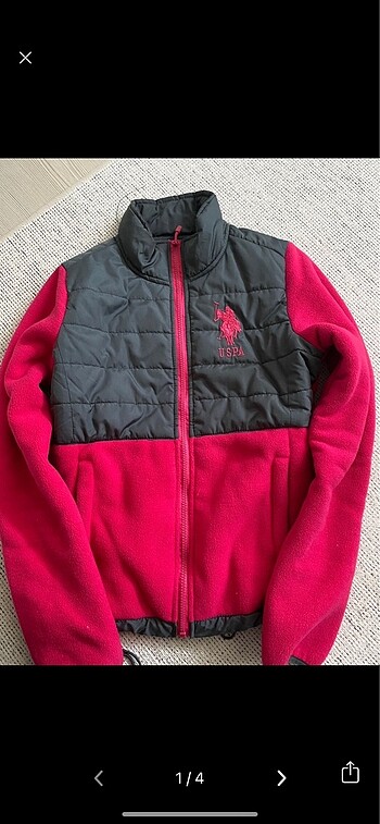 Uspa polo mont
