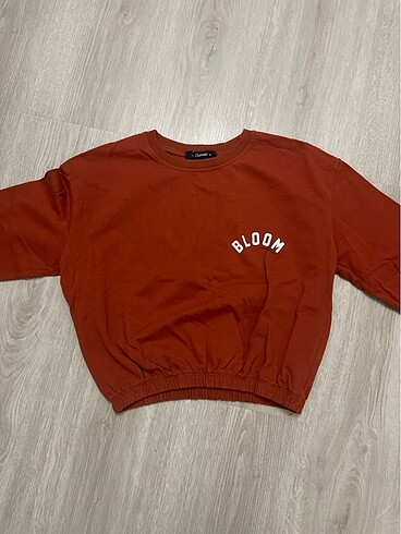 Sweatshirt