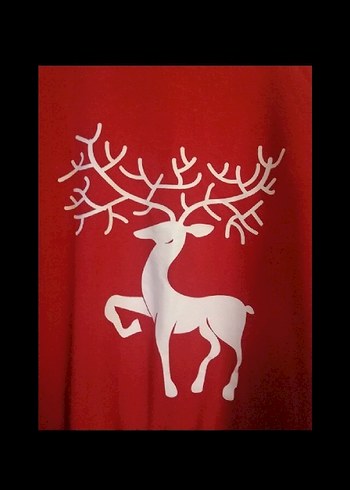 Kırmızı Baskılı Hamile Sweatshirt