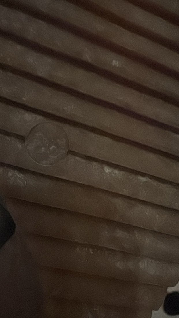 Siyah Dolgu Topuklu Bağcıklı Kadın Bot - Görsel 2