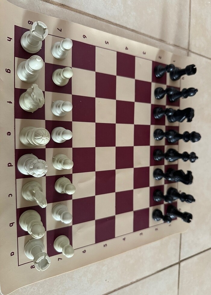 Satranç Seti - Görsel 3