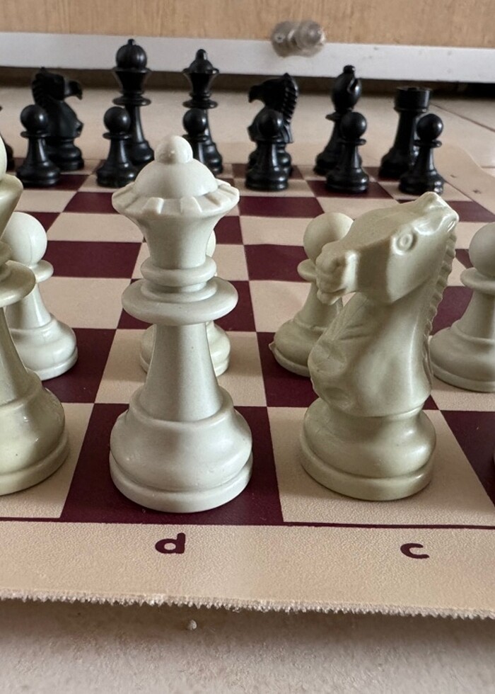 Satranç Seti - Görsel 4