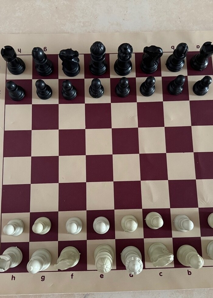 Satranç Seti - Görsel 5