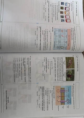 Krallar Karması TYT Denemeleri - Görsel 3