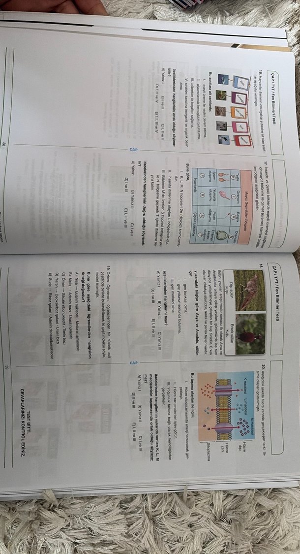 Krallar Karması TYT Denemeleri - Görsel 3