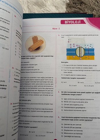 Başarı Kampı TYT +1 Deneme - Görsel 4