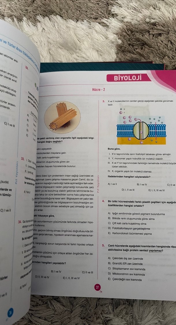 Başarı Kampı TYT  +1 Deneme - Görsel 4