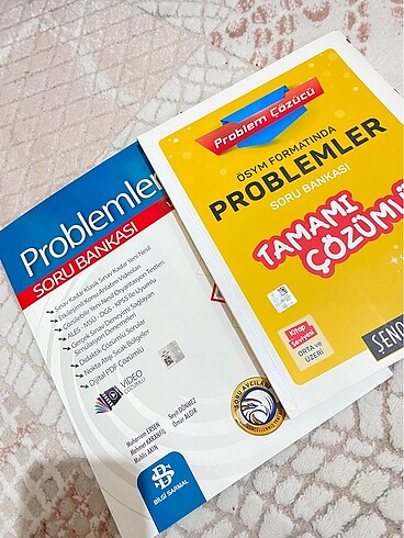 Problem kitapları