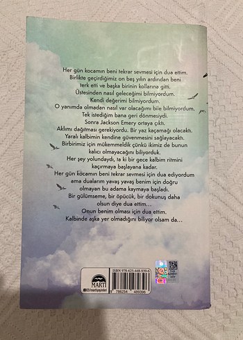 Yüz Karası - Brittainy C. Cherry