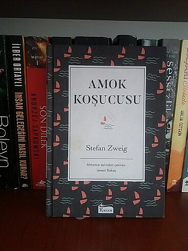 Amok koşucusu 