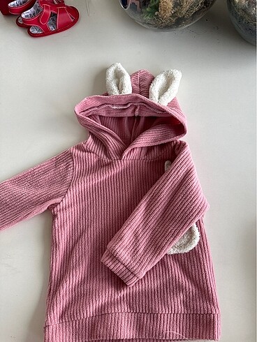 Diğer Tavşan sweat