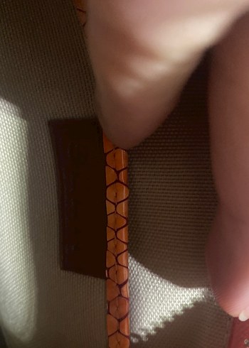 Kahverengi Parlak Yılan Desenli Deri Kadın seen Çanta - Görsel 3