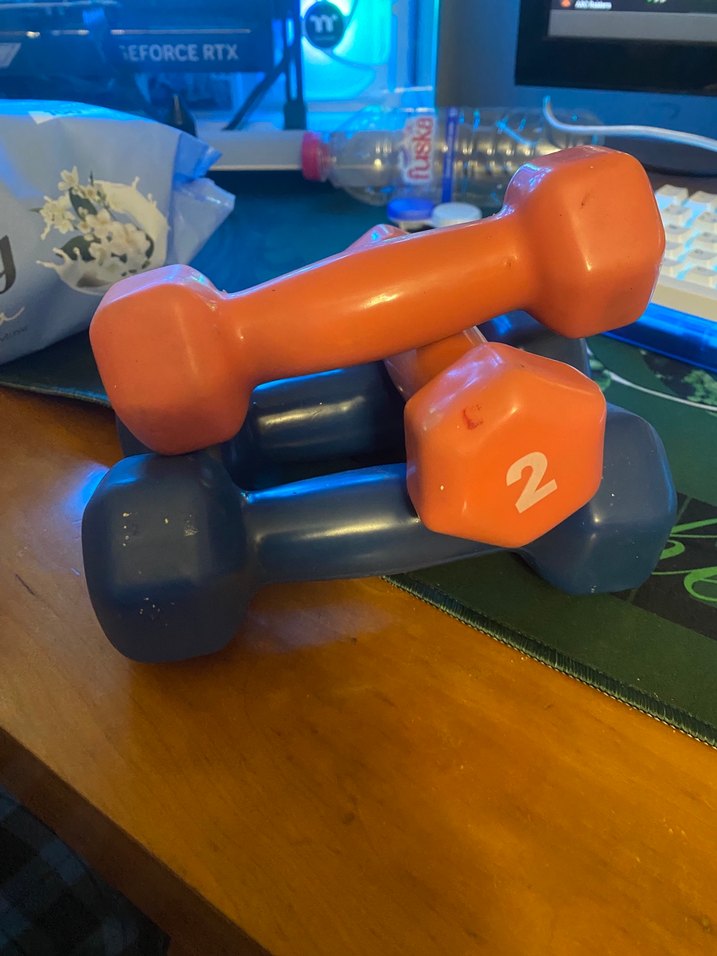 Dambıl 2 ve 3 kiloluk - Görsel 2