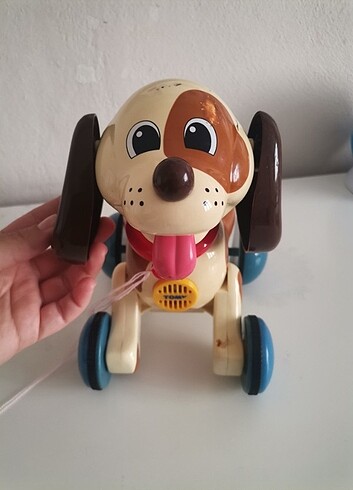 Beden Havlayan Köpek Tommy