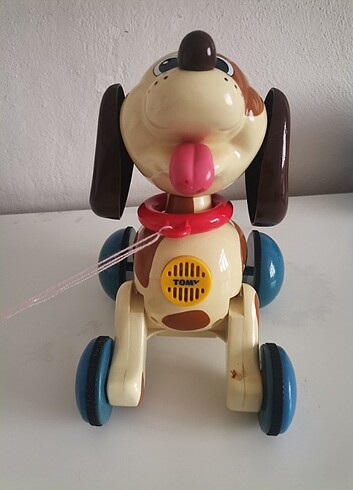 Beden Renk Havlayan Köpek Tommy