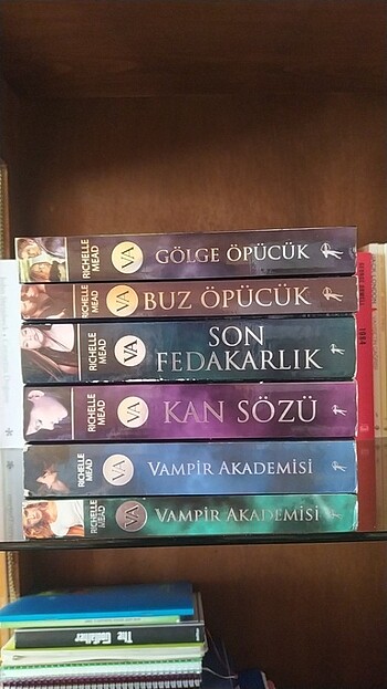 Richelle Mead - Vampir Akademisi serisi