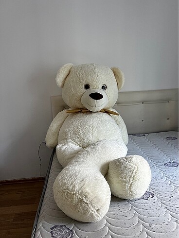 Diğer Peluş ayı