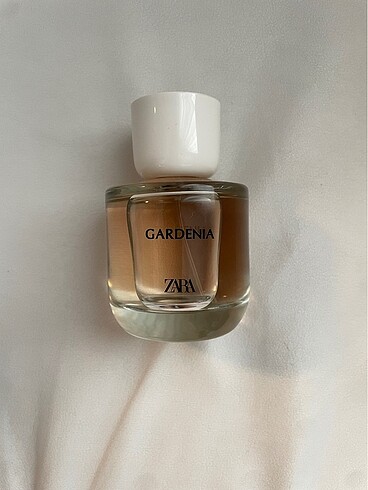 Gardenia zara