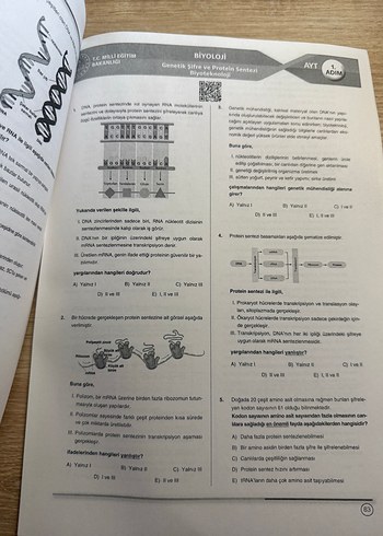 Beden 3 Adım AYT Biyoloji PDF