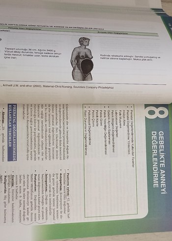 Doğum ve Kadın Sağlığı Hemşireliği Kitabı