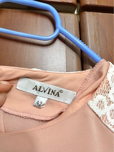 42 Beden alvina