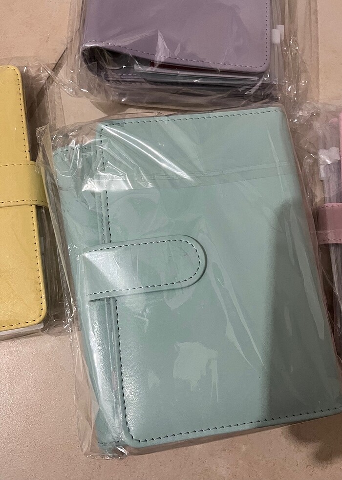 Bütçe planlayıcı Birikim ajandası Turkuaz - Görsel 4