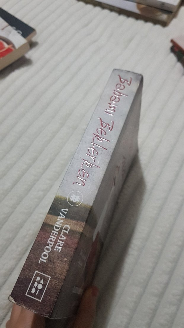 Babamı Beklerken - Clare Vanderpool - Görsel 2