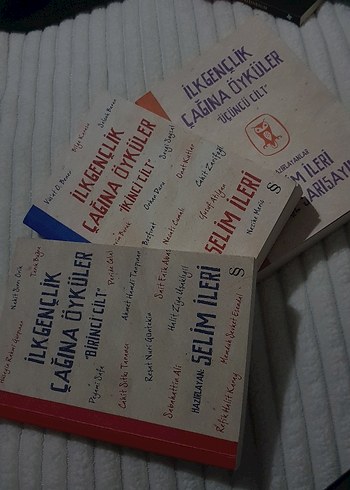 İlk Gençlik Çağına Öyküler - Selim İleri - Görsel 2