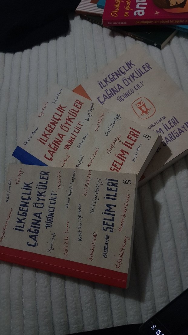 İlk Gençlik Çağına Öyküler - Selim İleri - Görsel 2