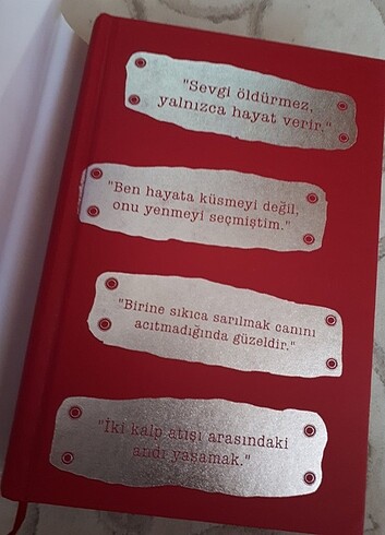  Rüzgarı yaşamak-ciltli