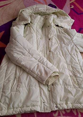 Düğmeli fıstık yesili Kadın Mont - Görsel 2