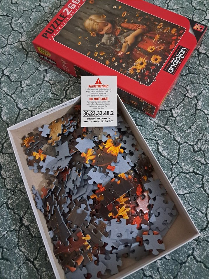 260 Parça XL Puzzle - Görsel 2