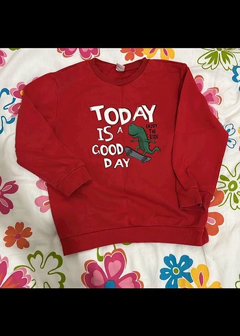 Erkek Çocuk Kırmızı Baskılı Sweatshirt