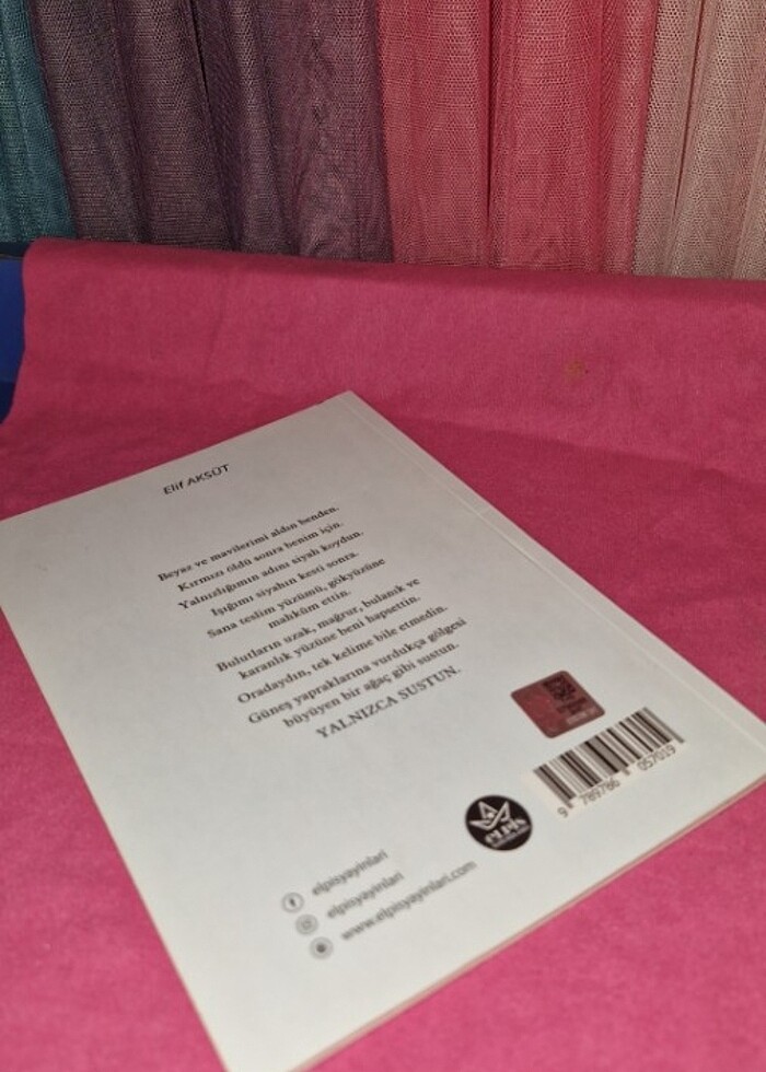 Elif Aksüt Eşik Kitabı - Görsel 2