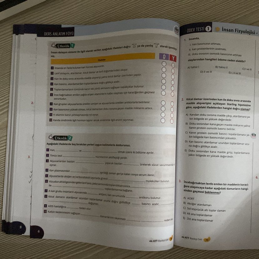 AYT Hazırlık Biyoloji Ders Anlatım Föyü - Görsel 4