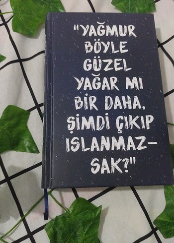  Beden Beyza alkoc 3391 kilometre