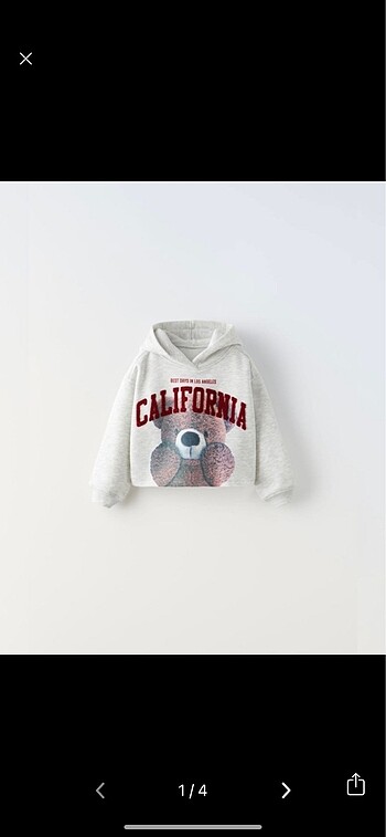 Zara sweatshirt