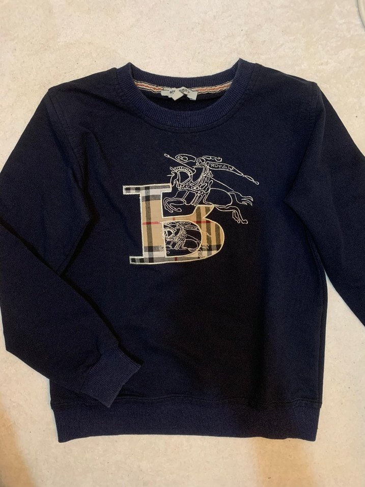 Erkek Çocuk Mavi Baskılı Sweatshirt - Görsel 2